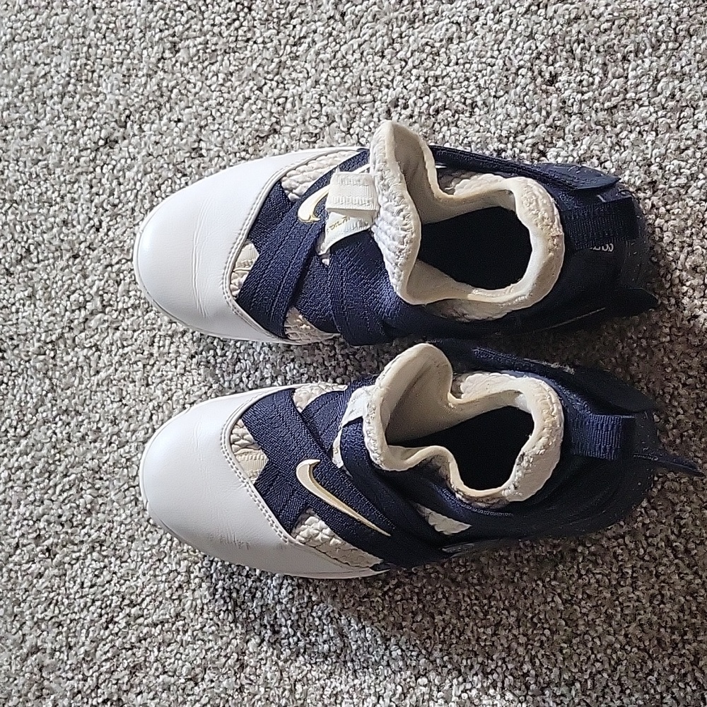 Nike Lebron 12 Witness ShoesSoldier AO4054-100 White Royal Blue